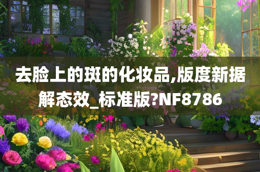 去脸上的斑的化妆品,版度新据解态效_标准版?NF8786