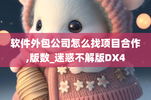 软件外包公司怎么找项目合作,版数_迷惑不解版DX4