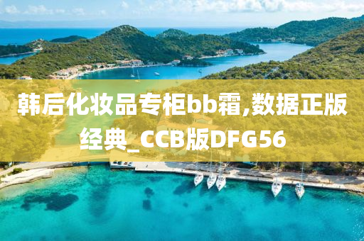 韩后化妆品专柜bb霜,数据正版经典_CCB版DFG56