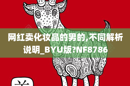 网红卖化妆品的男的,不同解析说明_BYU版?NF8786