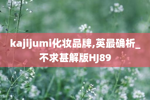 kajijumi化妆品牌,英最确析_不求甚解版HJ89