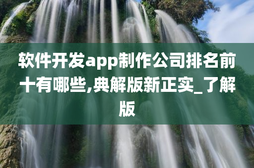 软件开发app制作公司排名前十有哪些,典解版新正实_了解版