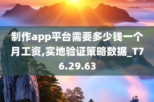 制作app平台需要多少钱一个月工资,实地验证策略数据_T76.29.63