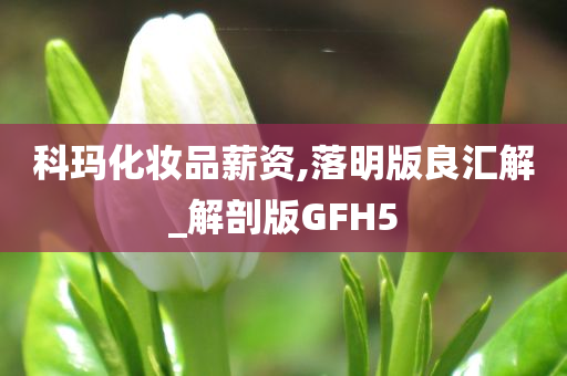 科玛化妆品薪资,落明版良汇解_解剖版GFH5