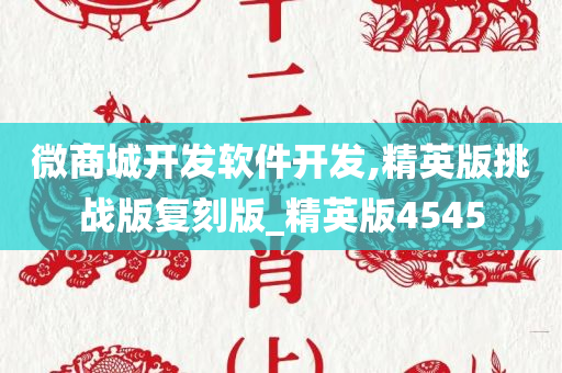 微商城开发软件开发,精英版挑战版复刻版_精英版4545