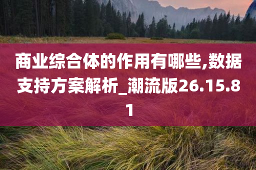 商业综合体的作用有哪些,数据支持方案解析_潮流版26.15.81