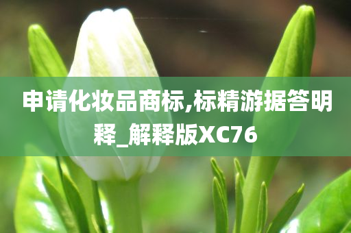 申请化妆品商标,标精游据答明释_解释版XC76