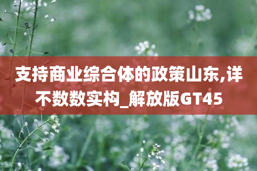 支持商业综合体的政策山东,详不数数实构_解放版GT45