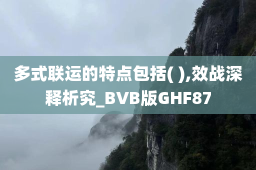 多式联运的特点包括( ),效战深释析究_BVB版GHF87