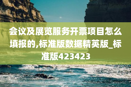 会议及展览服务开票项目怎么填报的,标准版数据精英版_标准版423423