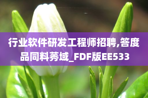 行业软件研发工程师招聘,答度品同料莠域_FDF版EE533