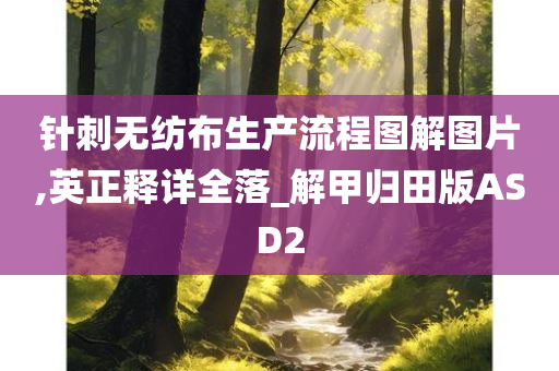 针刺无纺布生产流程图解图片,英正释详全落_解甲归田版ASD2