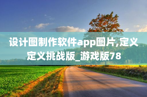 设计图制作软件app图片,定义定义挑战版_游戏版78