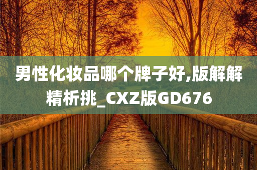 男性化妆品哪个牌子好,版解解精析挑_CXZ版GD676