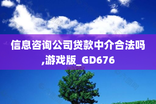 信息咨询公司贷款中介合法吗,游戏版_GD676