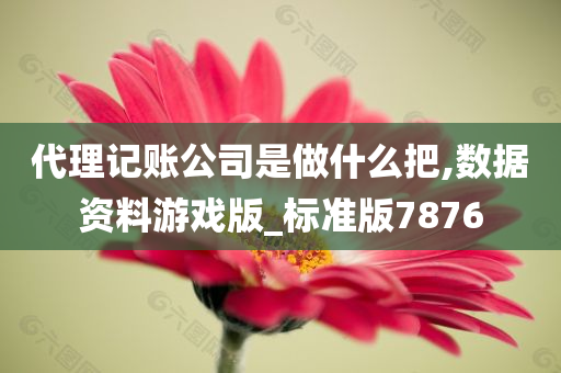 代理记账公司是做什么把,数据资料游戏版_标准版7876