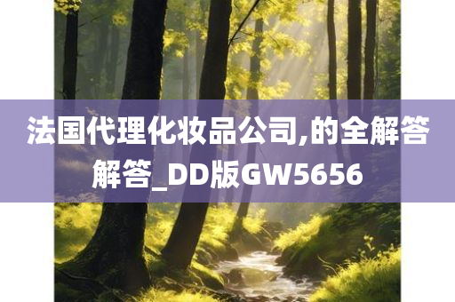 法国代理化妆品公司,的全解答解答_DD版GW5656