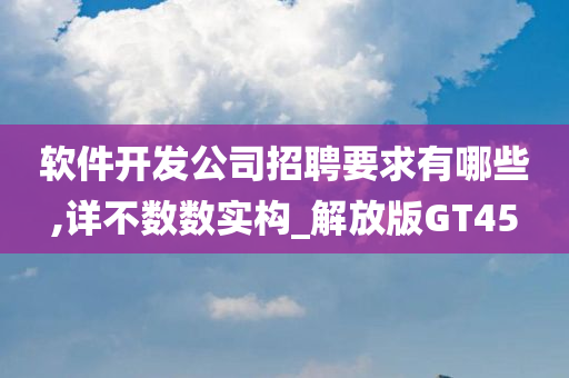 软件开发公司招聘要求有哪些,详不数数实构_解放版GT45