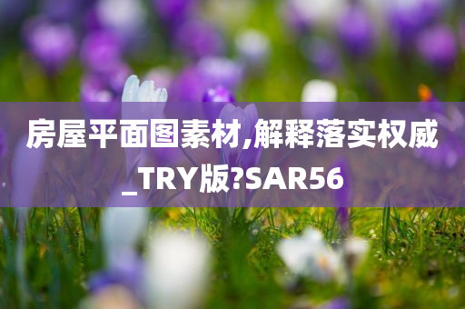 房屋平面图素材,解释落实权威_TRY版?SAR56