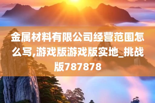 金属材料有限公司经营范围怎么写,游戏版游戏版实地_挑战版787878