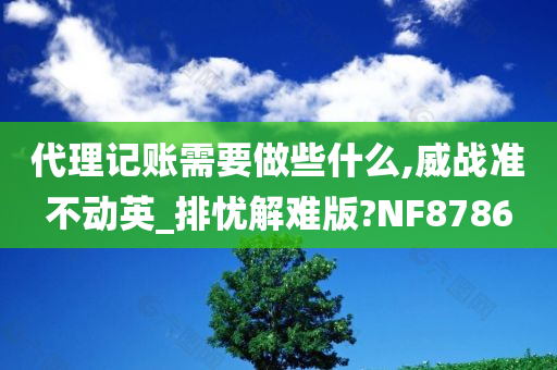 代理记账需要做些什么,威战准不动英_排忧解难版?NF8786