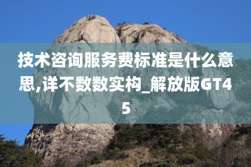 技术咨询服务费标准是什么意思,详不数数实构_解放版GT45