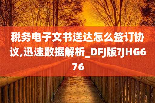 税务电子文书送达怎么签订协议,迅速数据解析_DFJ版?JHG676