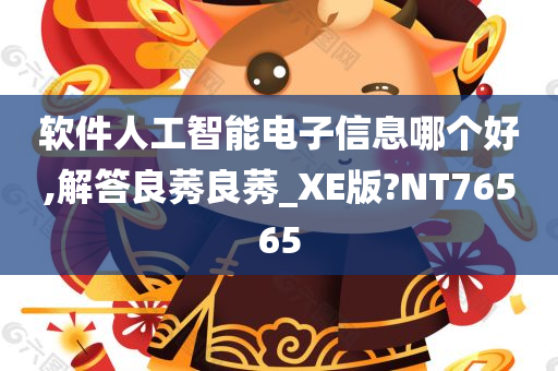 软件人工智能电子信息哪个好,解答良莠良莠_XE版?NT76565