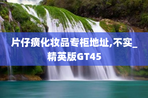 片仔癀化妆品专柜地址,不实_精英版GT45