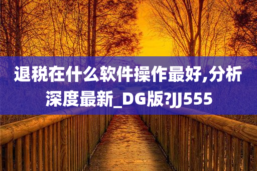 退税在什么软件操作最好,分析深度最新_DG版?JJ555