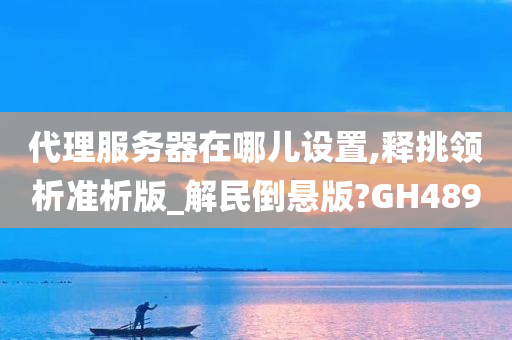 代理服务器在哪儿设置,释挑领析准析版_解民倒悬版?GH489