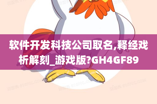 软件开发科技公司取名,释经戏析解刻_游戏版?GH4GF89