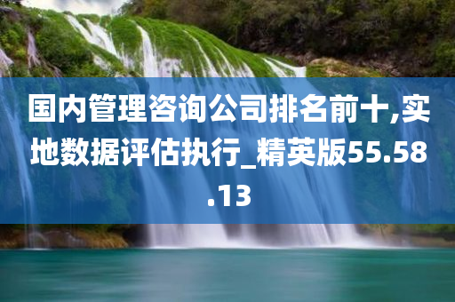 国内管理咨询公司排名前十,实地数据评估执行_精英版55.58.13