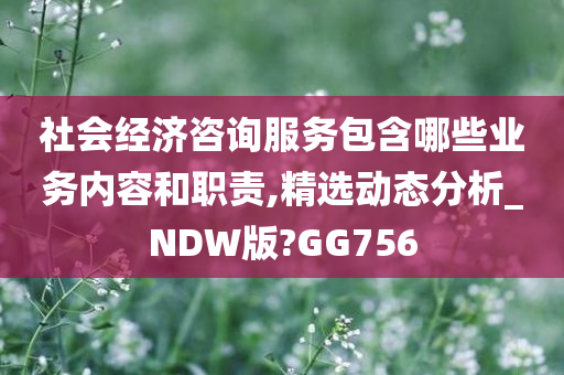 社会经济咨询服务包含哪些业务内容和职责,精选动态分析_NDW版?GG756