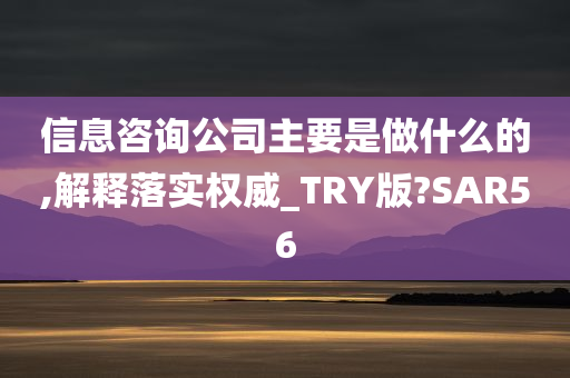 信息咨询公司主要是做什么的,解释落实权威_TRY版?SAR56