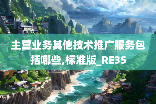 主营业务其他技术推广服务包括哪些,标准版_RE35