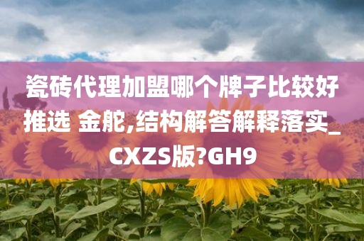 瓷砖代理加盟哪个牌子比较好推选 金舵,结构解答解释落实_CXZS版?GH9