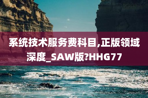 系统技术服务费科目,正版领域深度_SAW版?HHG77