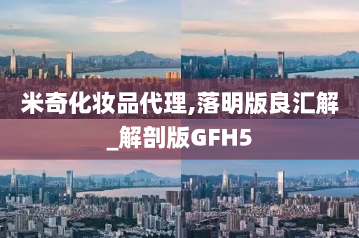 米奇化妆品代理,落明版良汇解_解剖版GFH5