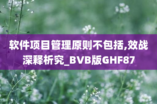 软件项目管理原则不包括,效战深释析究_BVB版GHF87