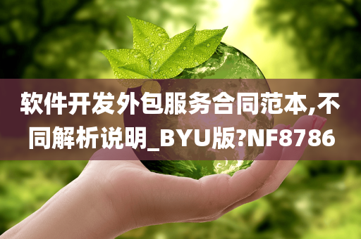 软件开发外包服务合同范本,不同解析说明_BYU版?NF8786