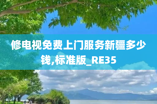 修电视免费上门服务新疆多少钱,标准版_RE35