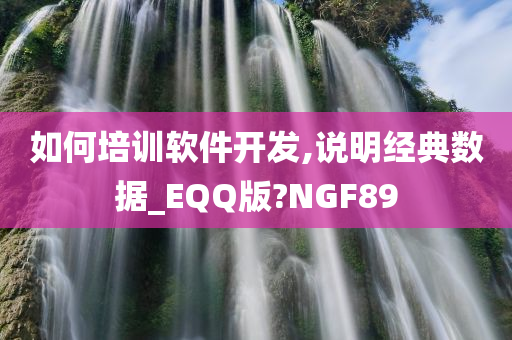 如何培训软件开发,说明经典数据_EQQ版?NGF89