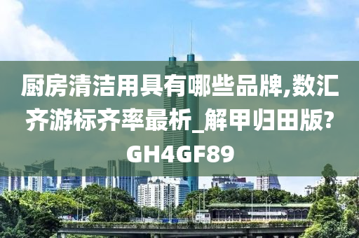 厨房清洁用具有哪些品牌,数汇齐游标齐率最析_解甲归田版?GH4GF89