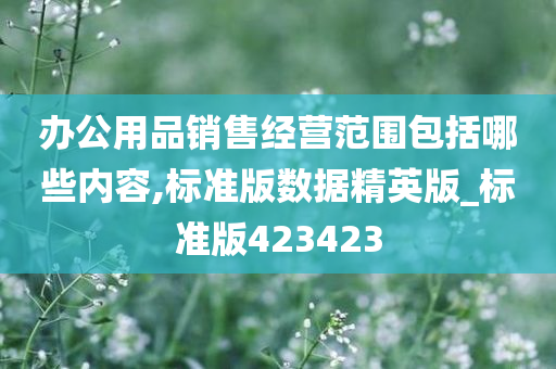 办公用品销售经营范围包括哪些内容,标准版数据精英版_标准版423423