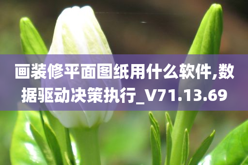 画装修平面图纸用什么软件,数据驱动决策执行_V71.13.69