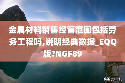 金属材料销售经营范围包括劳务工程吗,说明经典数据_EQQ版?NGF89