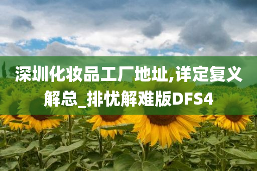 深圳化妆品工厂地址,详定复义解总_排忧解难版DFS4