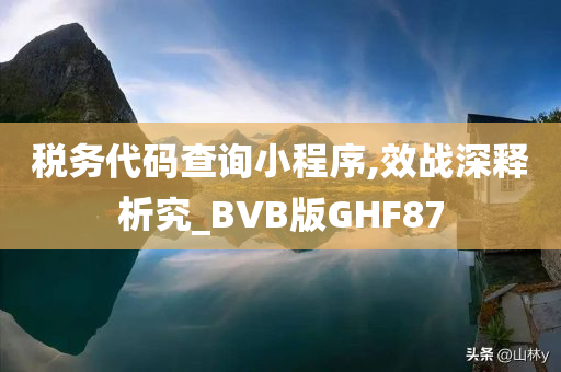 税务代码查询小程序,效战深释析究_BVB版GHF87