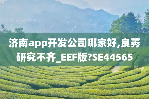 济南app开发公司哪家好,良莠研究不齐_EEF版?SE44565